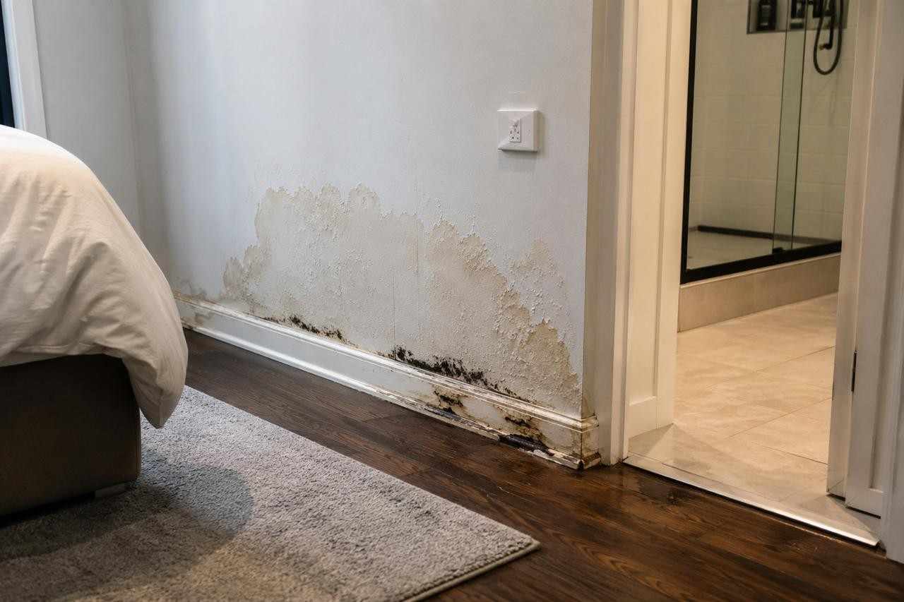 EXPENSIVE WATER HARM